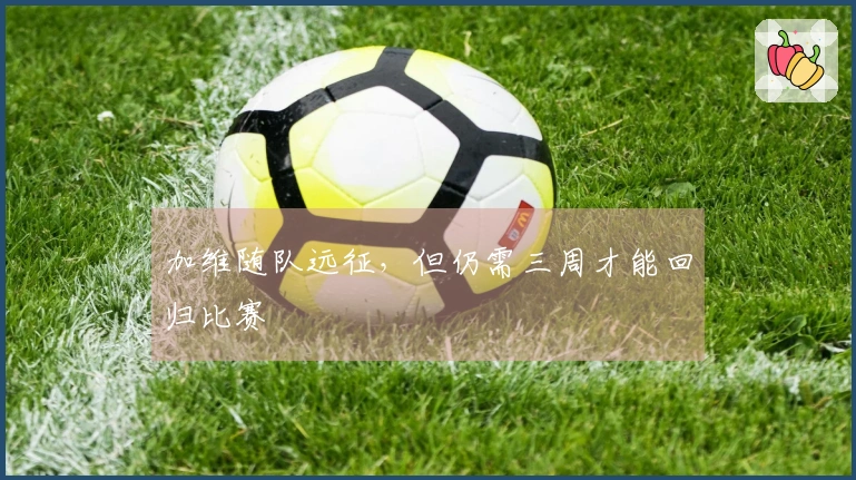 加维随队远征，但仍需三周才能回归比赛