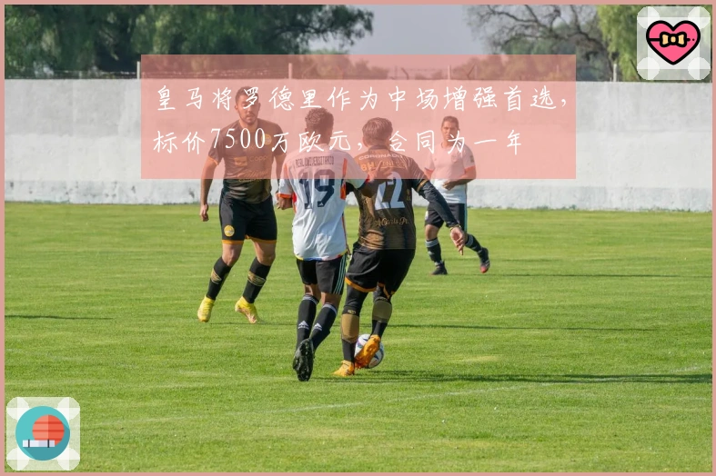 皇马将罗德里作为中场增强首选，标价7500万欧元，合同为一年