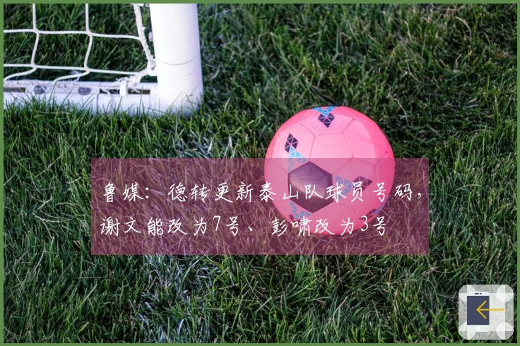 鲁媒：德转更新泰山队球员号码，谢文能改为7号、彭啸改为3号