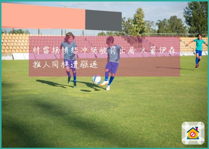 特雷杨愤怒冲场被罚出局 火箭伊森推人同样遭驱逐